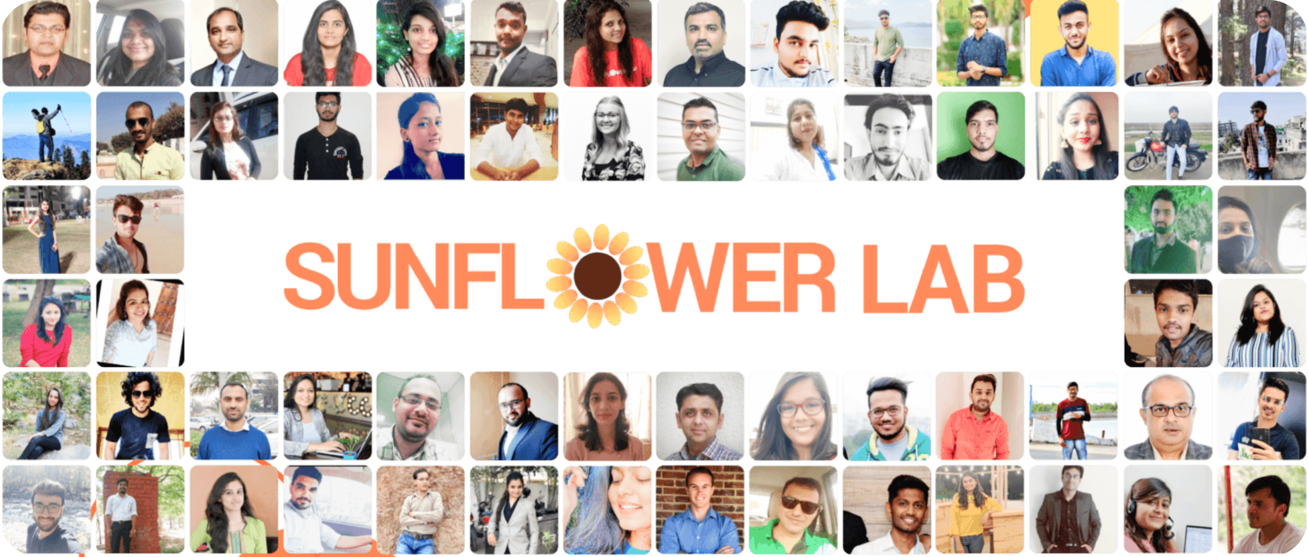 Sunflower Lab Team Image